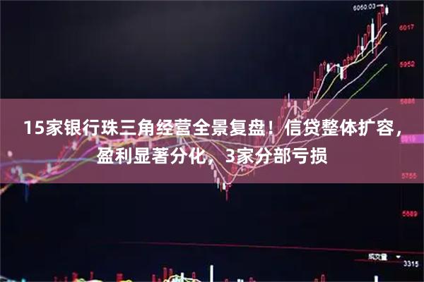 15家银行珠三角经营全景复盘！信贷整体扩容，盈利显著分化，3家分部亏损
