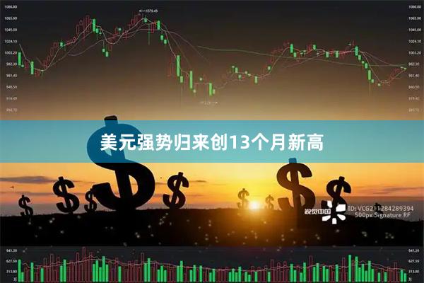 美元强势归来创13个月新高