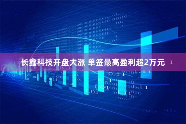 长鑫科技开盘大涨 单签最高盈利超2万元